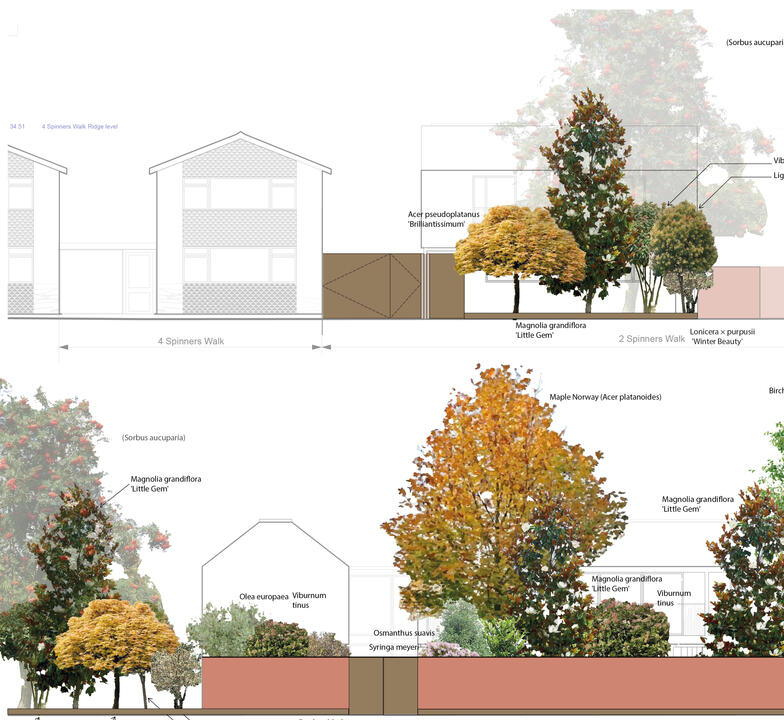 Tree Planting scheme Tree Planting scheme