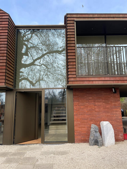 The shading tree on the entrance The shading tree on the entrance