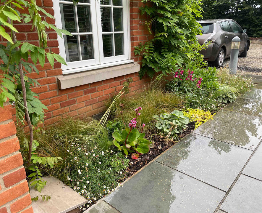 A soft, mixed border of ferns, grasses, and perennials creates movement and colour beside the red-brick façade, enriching the garden’s approach. Front garden planting with ferns, grasses, and flowering perennials at the Woodland Garden, Eton, demonstrating sustainable, wildlife-friendly landscape design.