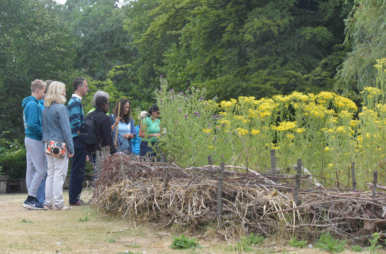 Visitors learning about the ecological design and community process behind the Copper Beech Haven. Group of visitors observing the restored habitat and wildflower planting during a community day at Ray Mill Island.