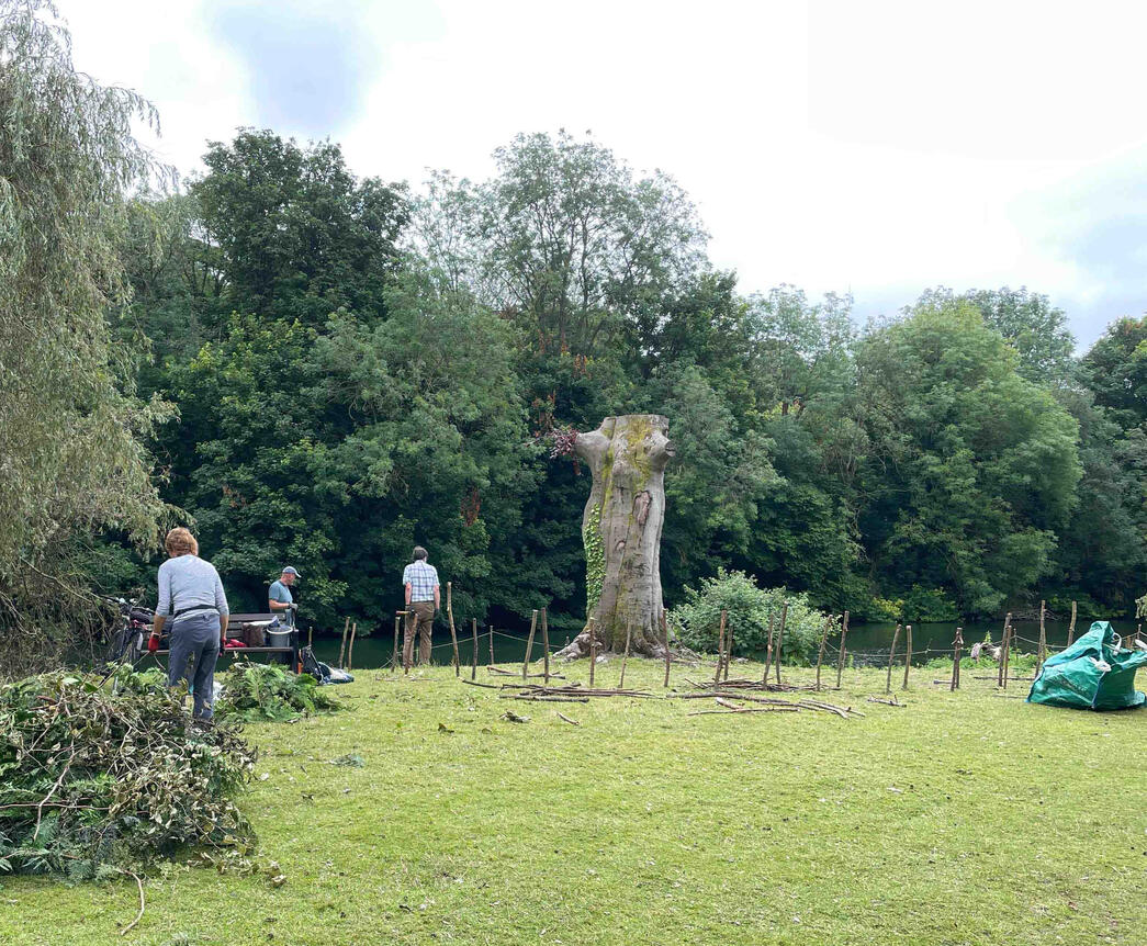 Early stages of the habitat restoration project, with branches collected on site for reuse. Volunteers preparing branches and natural materials to construct the dead hedge during the Copper Beech Haven restoration.