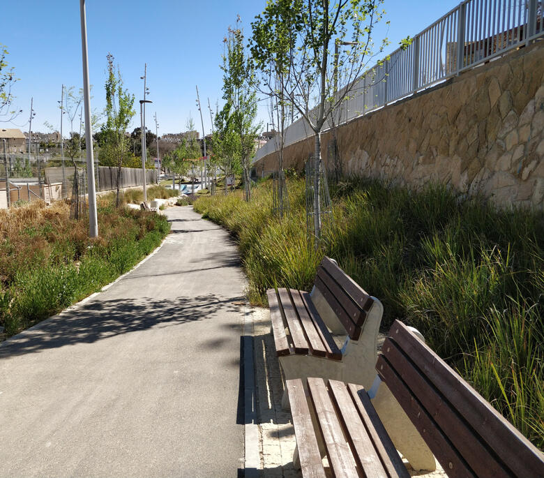 Public Realm Planting Walkway -Mediterranean Region Naturalistic public park pathway with young trees, ornamental grasses and timber benches, Mediterranean region.
