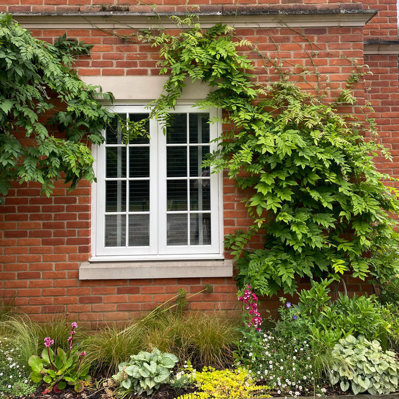 A woodland garden A woodland garden, Eton