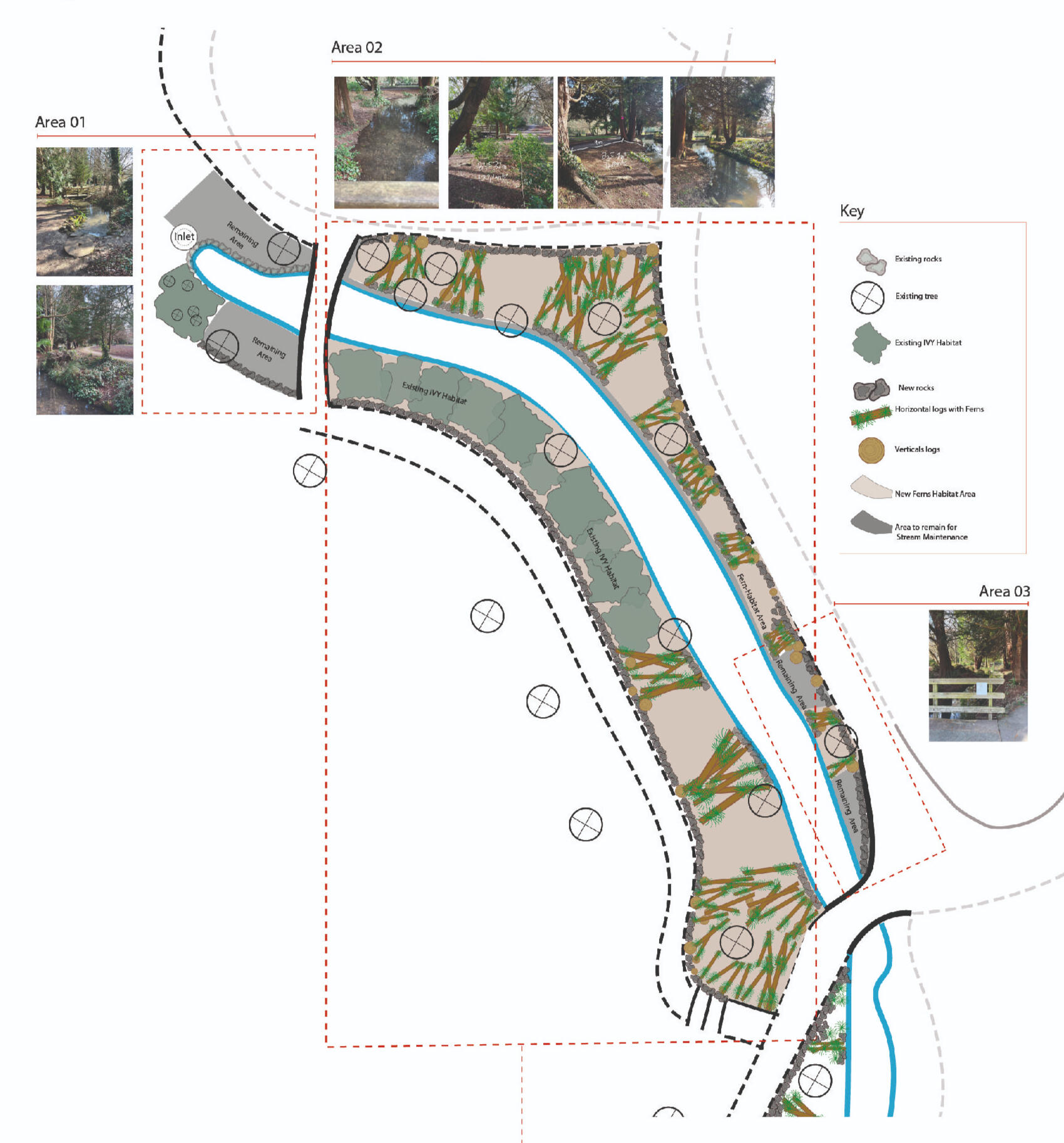 Ray Mill Island Stream Bank Master Plan Ecological stream bank master plan for Ray Mill Island, Maidenhead, showing phased habitat enhancement, riparian planting zones and low-impact restoration strategy.