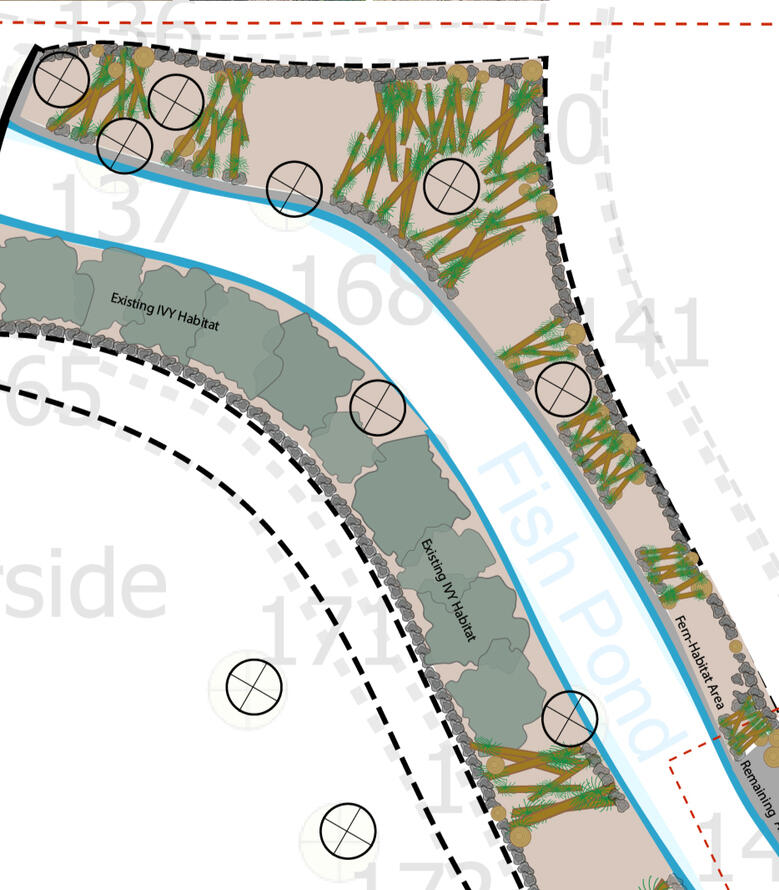 Fern Pocket Habitat, Ray Mill Island, Maidenhead Habitat-led stream bank masterplan showing phased fern pocket interventions designed to enhance biodiversity and stabilise the woodland edge at Ray Mill Island.