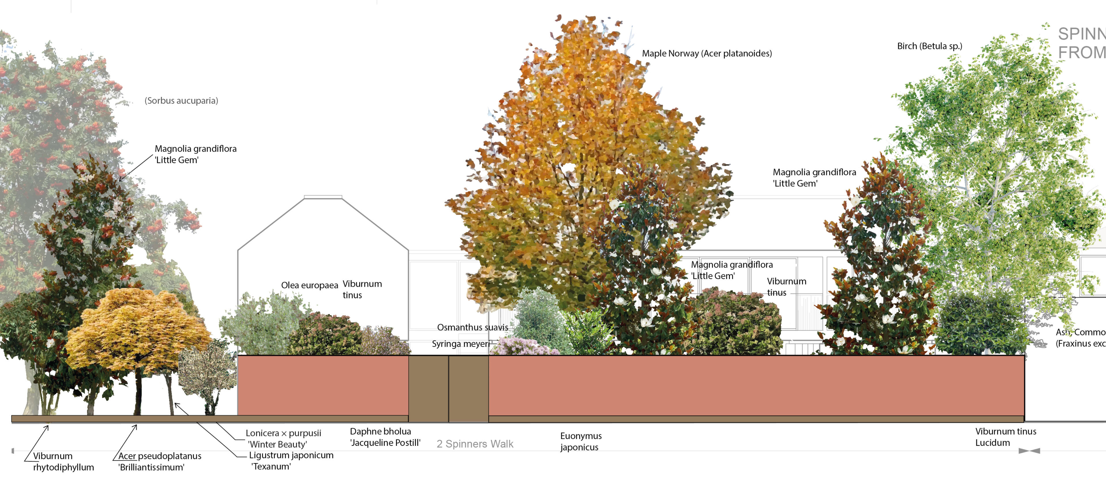 Associate member Landscape Institute