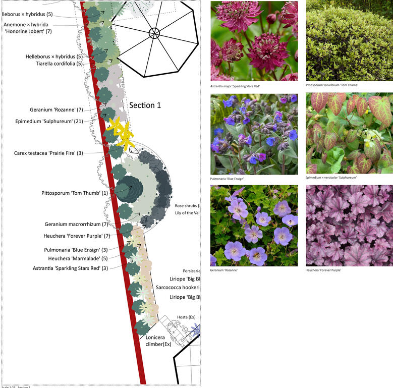 A Garden in Maidenhead: Layered Shade Planting for a North-Facing Plot
