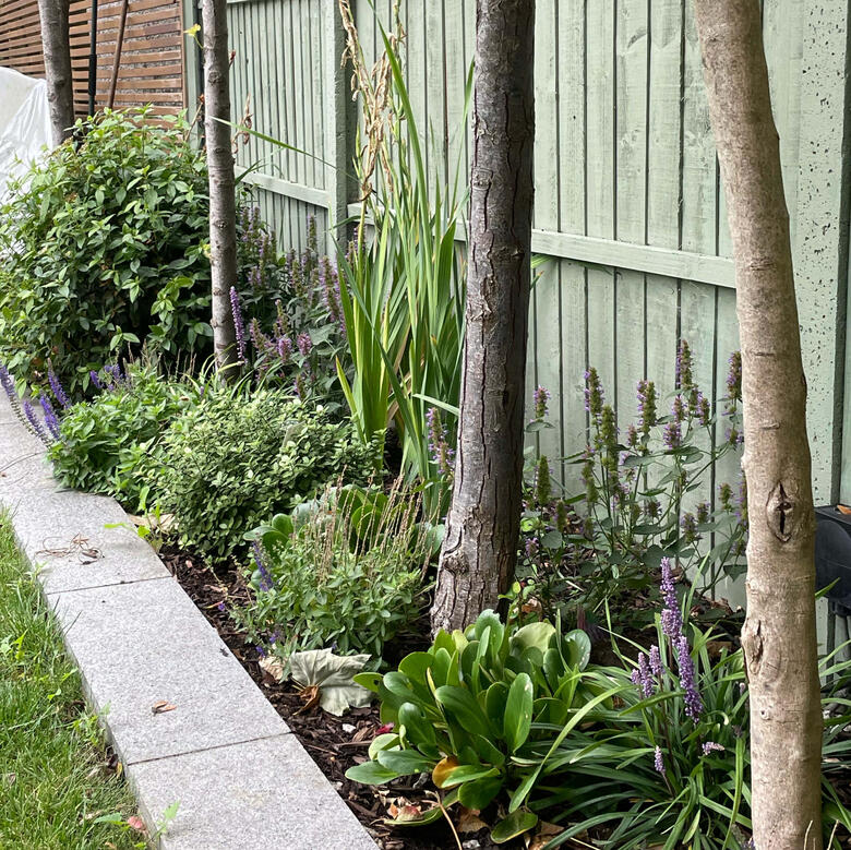 Bee's Friendly garden, Maidenhead