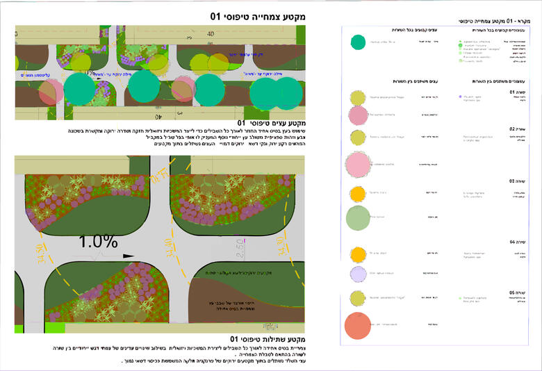 Residential Development, Middle East: Typical Planting Sections